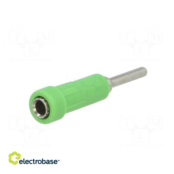 Socket | 2mm banana | 10A | 70VDC | 24.5mm | green | on panel | insulated image 6