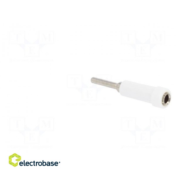 Socket | 2mm banana | 10A | 70VDC | 24.5mm | white | on panel | insulated image 4