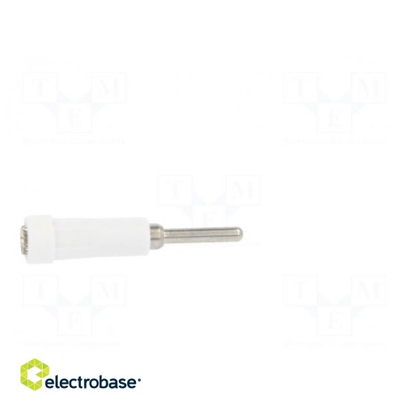 Socket | 2mm banana | 10A | 70VDC | 24.5mm | white | on panel | insulated image 7