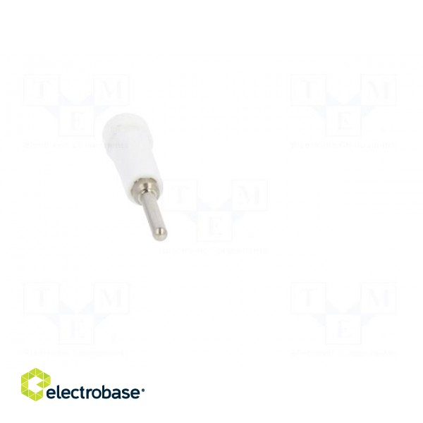 Socket | 2mm banana | 10A | 70VDC | 24.5mm | white | on panel | insulated image 9