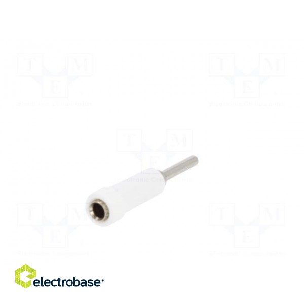 Socket | 2mm banana | 10A | 70VDC | 24.5mm | white | on panel | insulated image 6