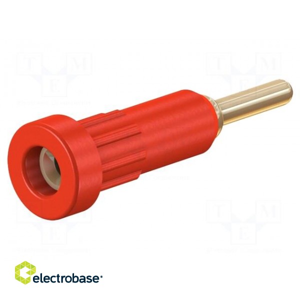 Socket | 2mm banana | 10A | 24.5mm | red | Mounting: push-in,on panel