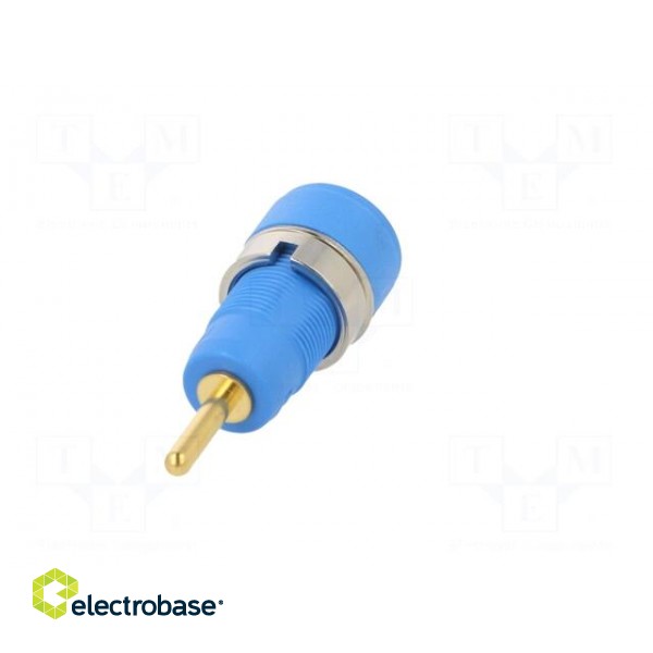 Socket | 2mm banana | Overall len: 29mm | blue | on panel,push-in image 6