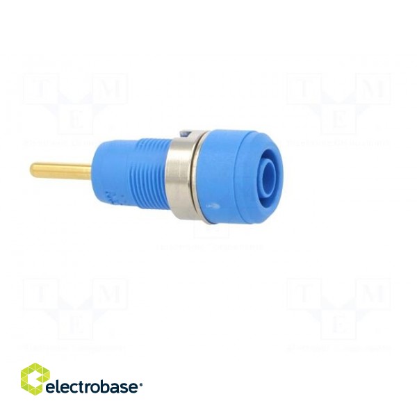 Socket | 2mm banana | Overall len: 29mm | blue | on panel,push-in image 8