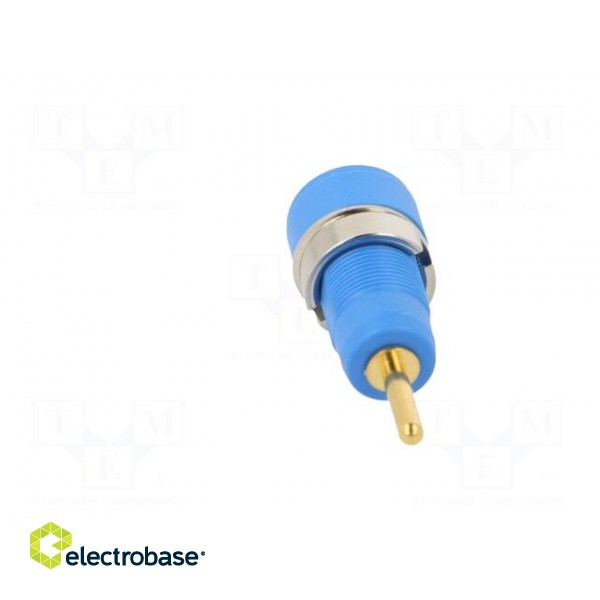 Socket | 2mm banana | Overall len: 29mm | blue | on panel,push-in фото 5