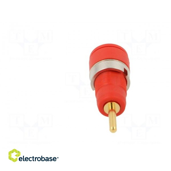Socket | 2mm banana | Overall len: 29mm | red | on panel,push-in фото 5