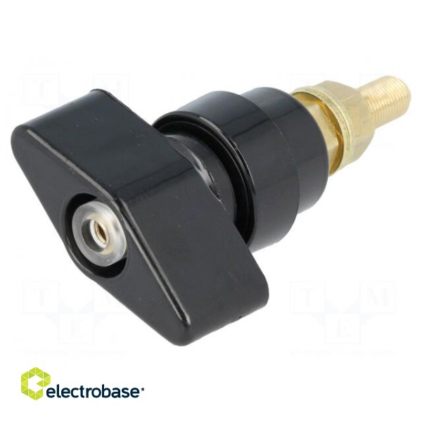 Laboratory clamp | black | 1kVDC | 100A | Contacts: brass | 81mm image 1