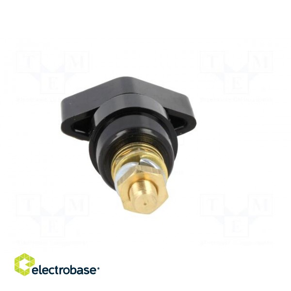 Laboratory clamp | black | 1kVDC | 63A | Contacts: brass | 58mm image 5