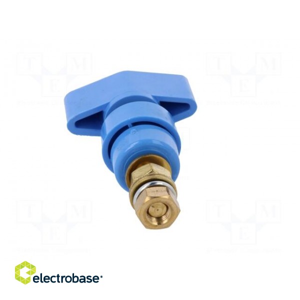 Laboratory clamp | blue | 1kVDC | 100A | Contacts: brass | 81mm image 5