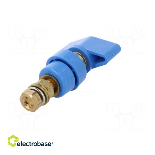 Laboratory clamp | blue | 1kVDC | 100A | Contacts: brass | 81mm image 6