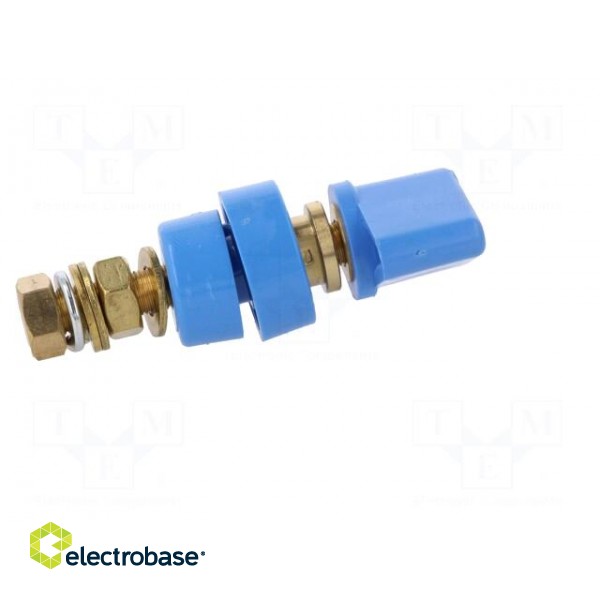 Laboratory clamp | blue | 1kVDC | 100A | Contacts: brass | 81mm image 7