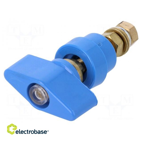 Laboratory clamp | blue | 1kVDC | 100A | Contacts: brass | 81mm image 1