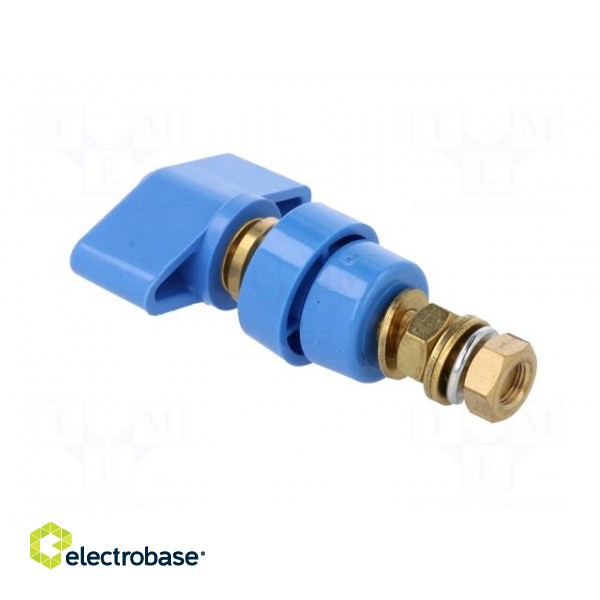 Laboratory clamp | blue | 1kVDC | 100A | Contacts: brass | 81mm image 4