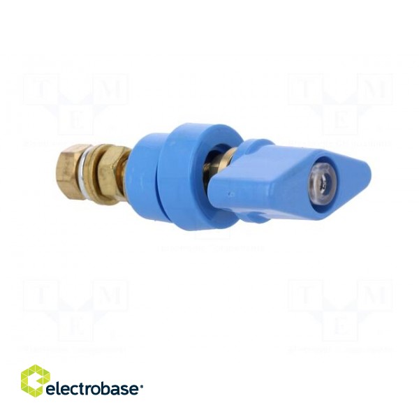 Laboratory clamp | blue | 1kVDC | 100A | Contacts: brass | 81mm image 8