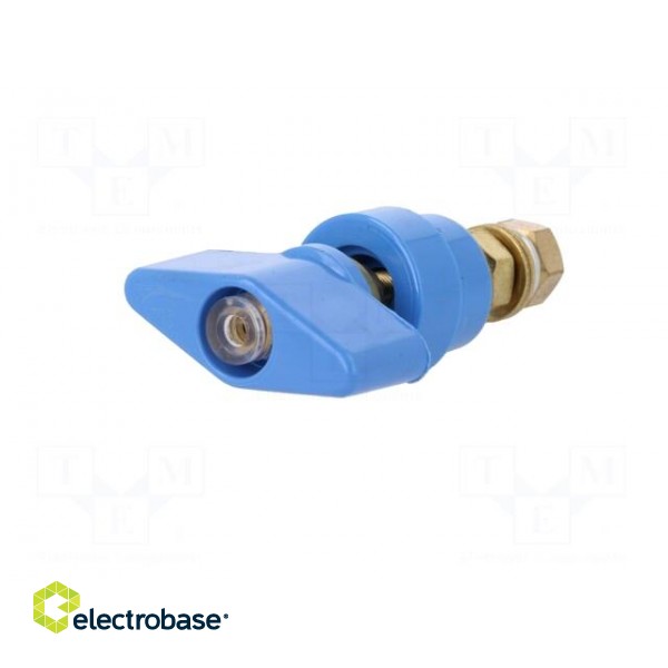 Laboratory clamp | blue | 1kVDC | 100A | Contacts: brass | 81mm image 2