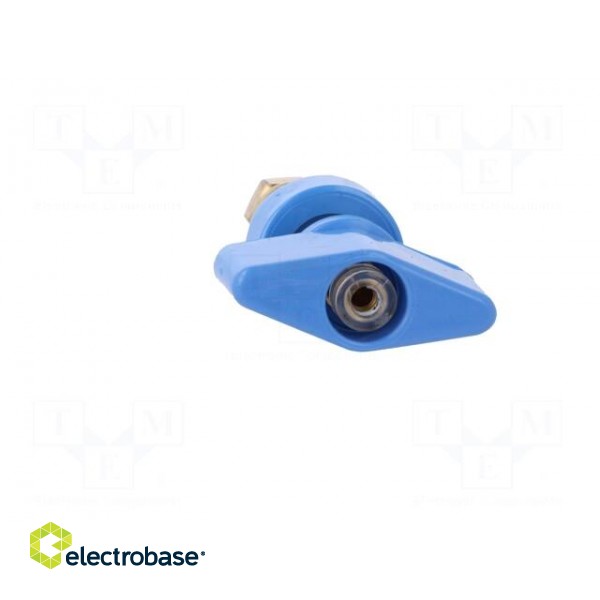 Laboratory clamp | blue | 1kVDC | 100A | Contacts: brass | 81mm image 9