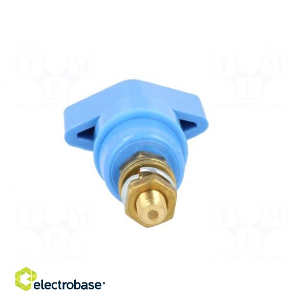 Laboratory clamp | blue | 1kVDC | 63A | Contacts: brass | 58mm image 5