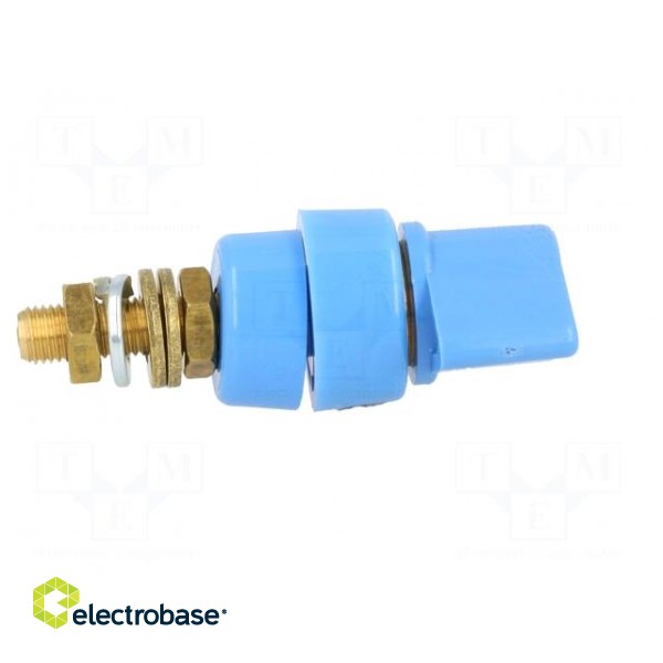 Laboratory clamp | blue | 1kVDC | 63A | Contacts: brass | 58mm image 7