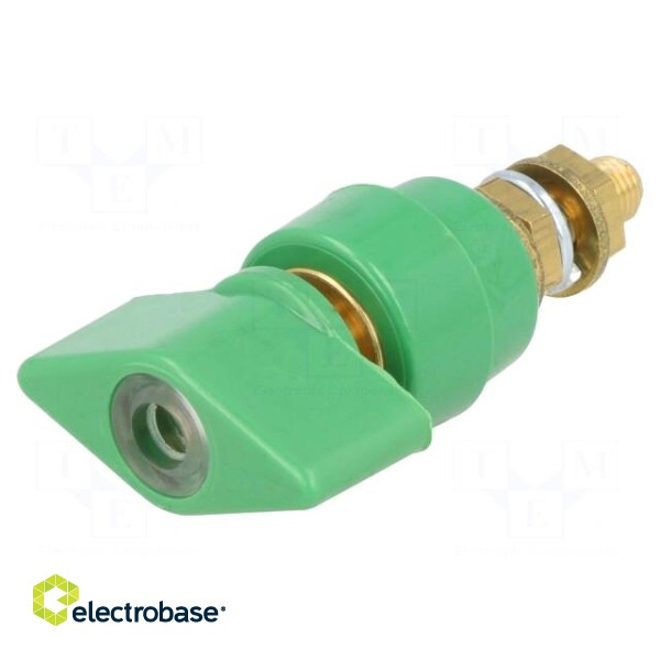Laboratory clamp | green | 1kVDC | 63A | on panel,screw | brass | 58mm image 1