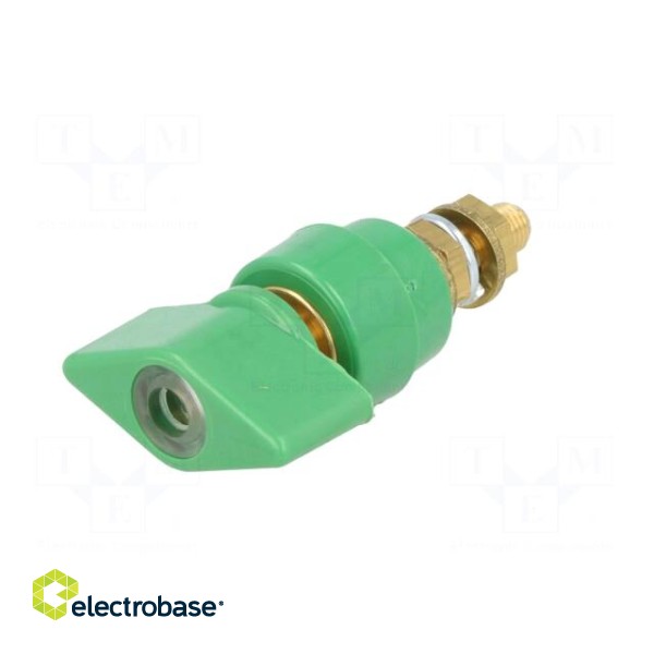 Laboratory clamp | green | 1kVDC | 63A | on panel,screw | brass | 58mm image 2