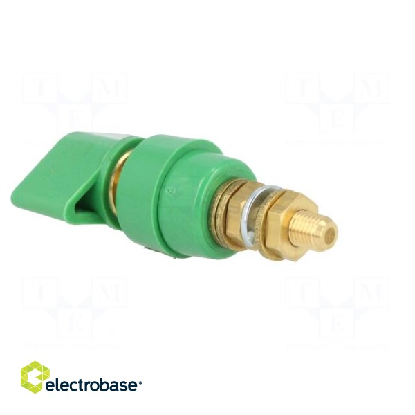 Laboratory clamp | green | 1kVDC | 63A | on panel,screw | brass | 58mm image 4