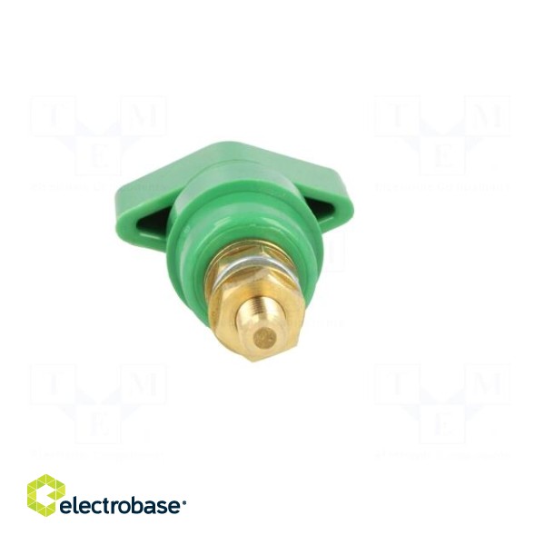Laboratory clamp | green | 1kVDC | 63A | on panel,screw | brass | 58mm image 5