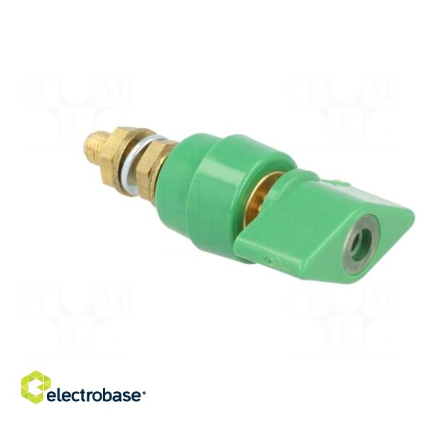 Laboratory clamp | green | 1kVDC | 63A | on panel,screw | brass | 58mm image 8