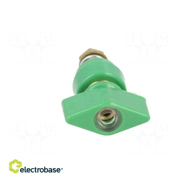 Laboratory clamp | green | 1kVDC | 63A | on panel,screw | brass | 58mm image 9