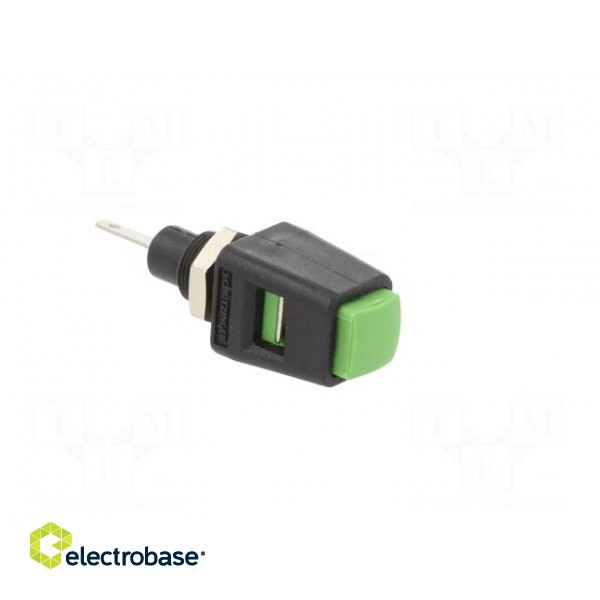 Laboratory clamp | green | 70VDC | 16A | screw | nickel | polyamide image 8