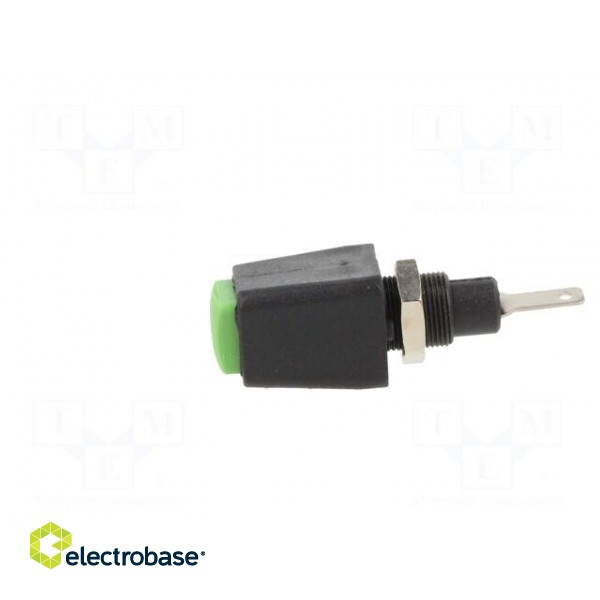 Laboratory clamp | green | 70VDC | 16A | screw | nickel | polyamide image 3