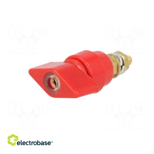 Laboratory clamp | red | 1kVDC | 63A | Contacts: brass | 58mm | Thread: M6 image 2