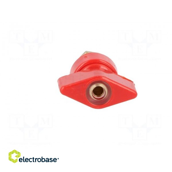 Laboratory clamp | red | 1kVDC | 63A | Contacts: brass | 58mm | Thread: M6 image 9