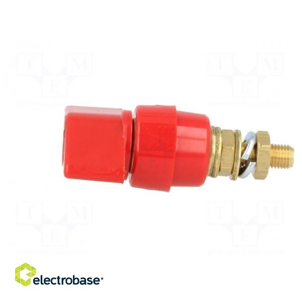 Laboratory clamp | red | 1kVDC | 63A | Contacts: brass | 58mm | Thread: M6 image 3