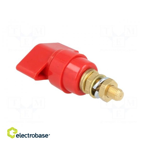 Laboratory clamp | red | 1kVDC | 63A | Contacts: brass | 58mm | Thread: M6 image 4