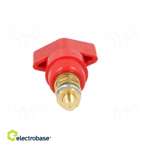 Laboratory clamp | red | 1kVDC | 63A | Contacts: brass | 58mm | Thread: M6 image 5