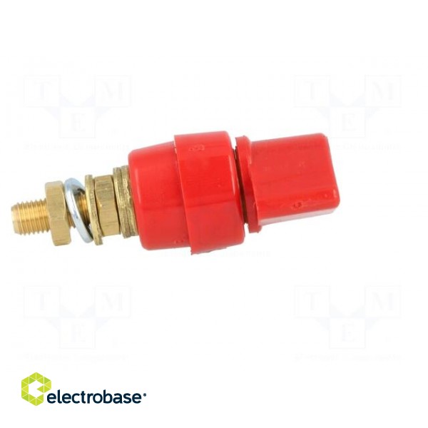 Laboratory clamp | red | 1kVDC | 63A | Contacts: brass | 58mm | Thread: M6 image 7