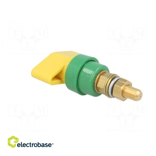 Laboratory clamp | yellow-green | 1kVDC | 100A | Contacts: brass | 81mm image 4