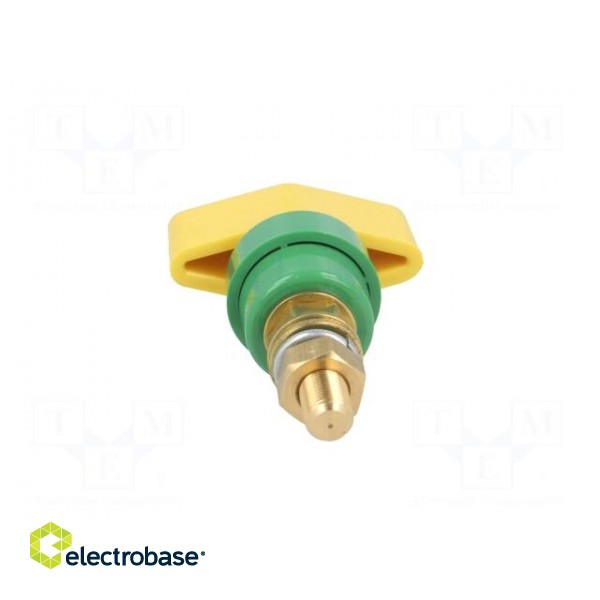 Laboratory clamp | yellow-green | 1kVDC | 100A | Contacts: brass | 81mm image 5