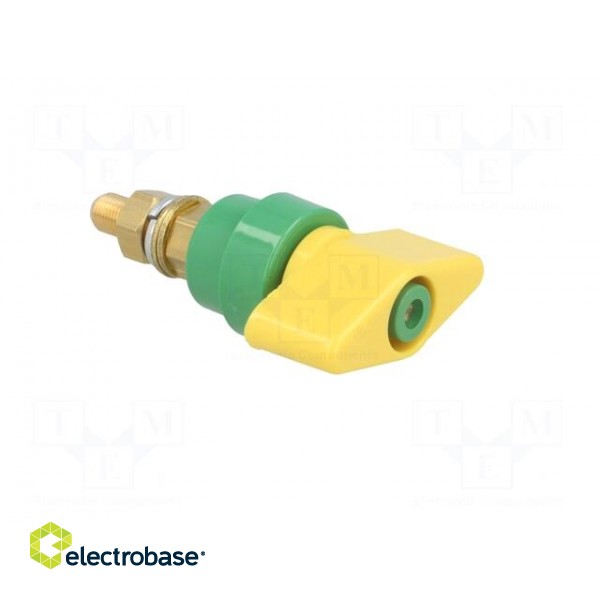 Laboratory clamp | yellow-green | 1kVDC | 100A | Contacts: brass | 81mm image 8