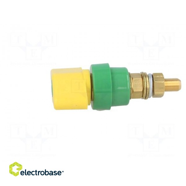 Laboratory clamp | yellow-green | 1kVDC | 100A | Contacts: brass | 81mm image 3