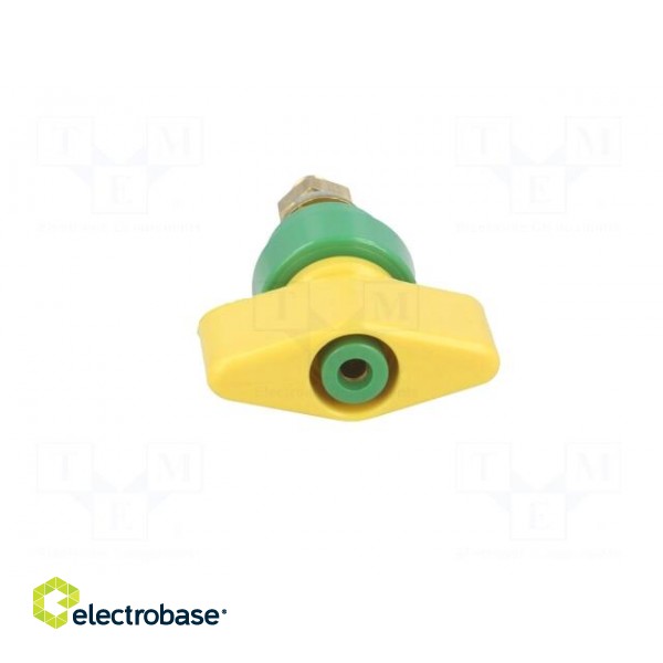 Laboratory clamp | yellow-green | 1kVDC | 100A | Contacts: brass | 81mm image 9