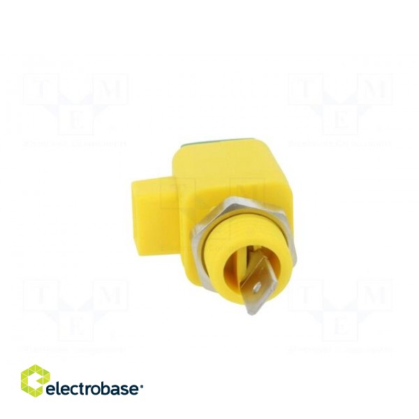 Laboratory clamp | yellow-green | 300VDC | 16A | Contacts: nickel image 5
