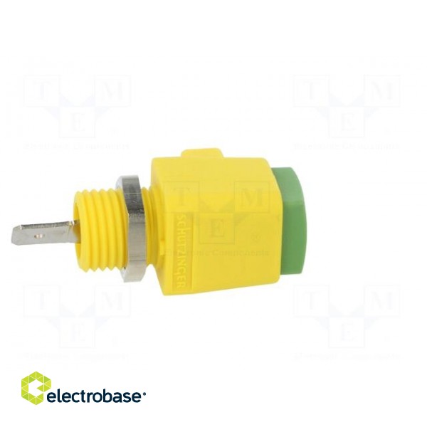 Laboratory clamp | yellow-green | 300VDC | 16A | Contacts: nickel paveikslėlis 7