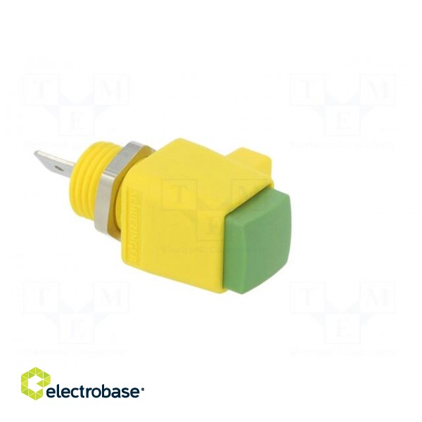 Laboratory clamp | yellow-green | 300VDC | 16A | Contacts: nickel paveikslėlis 8