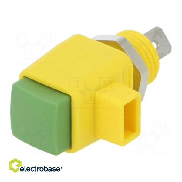 Laboratory clamp | yellow-green | 300VDC | 16A | screw | nickel | L: 44mm image 1