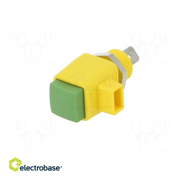Laboratory clamp | yellow-green | 300VDC | 16A | Contacts: nickel paveikslėlis 2