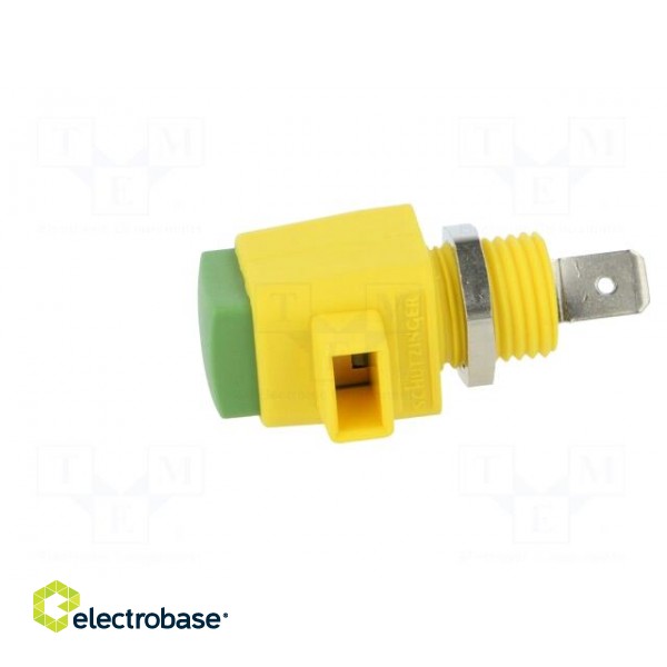 Laboratory clamp | yellow-green | 300VDC | 16A | Contacts: nickel paveikslėlis 3
