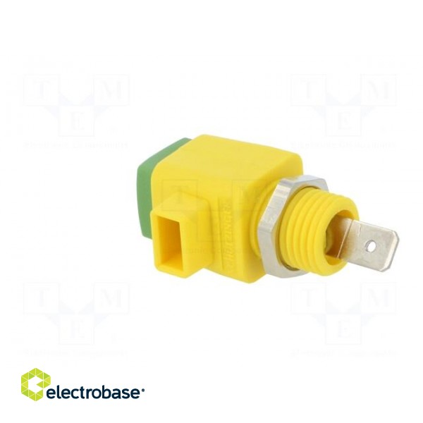 Laboratory clamp | yellow-green | 300VDC | 16A | Contacts: nickel paveikslėlis 4