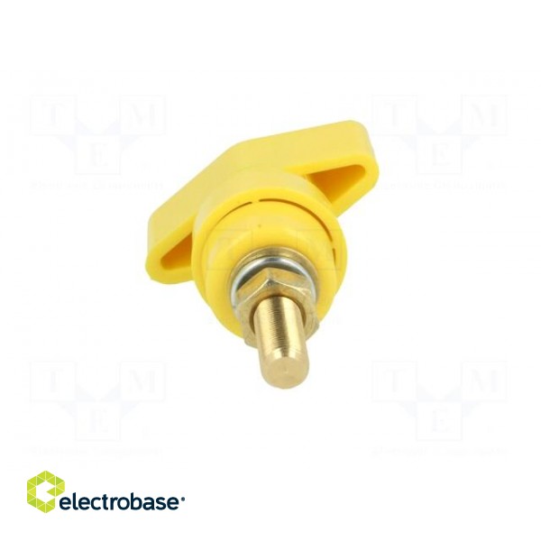 Laboratory clamp | yellow | 1kVDC | 100A | Contacts: brass | 81mm image 5