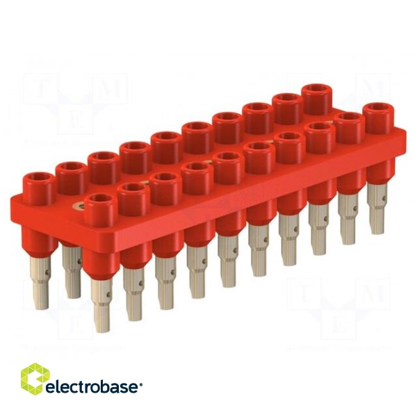 Socket strip | 2mm banana | red | 70VDC | 10A | 33VAC | Sockets: 20 | 12mm image 1
